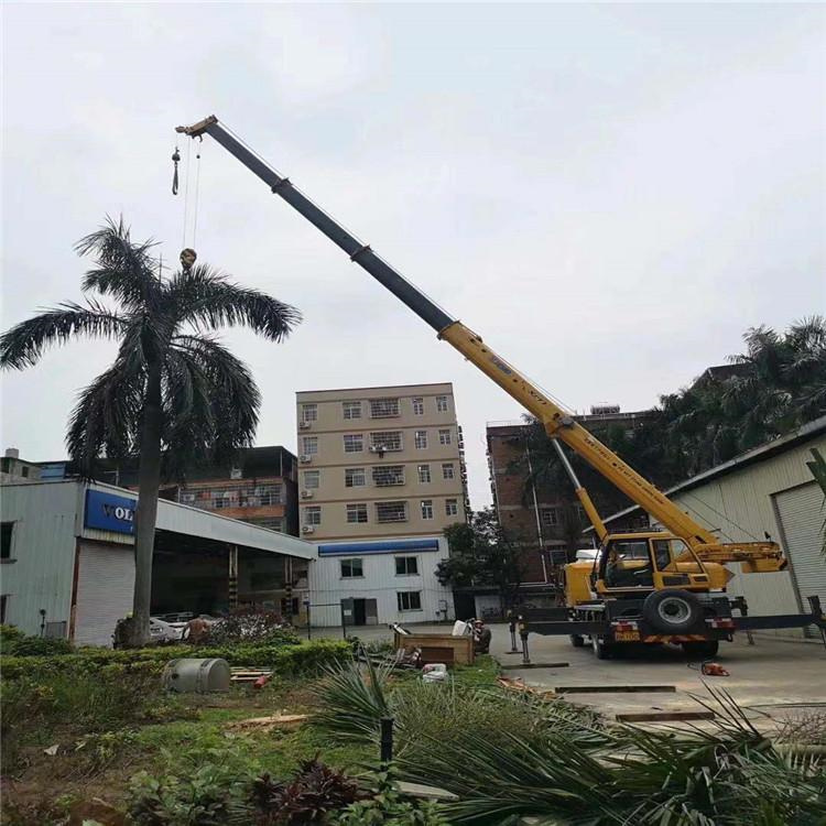 平果树木移栽装卸